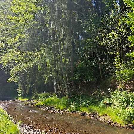 Wohlfuehloase Fuer 6 Personen Mit Terrasse, Garten Und Direkt Am Fluss Apartment *